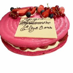 Macaron fraise  (10 parts)